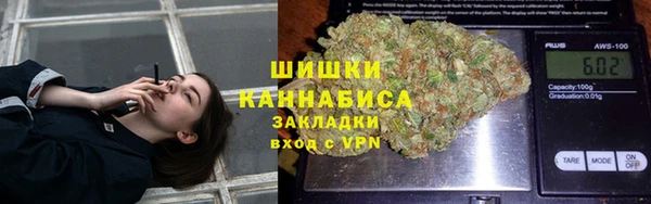 твердый Горнозаводск