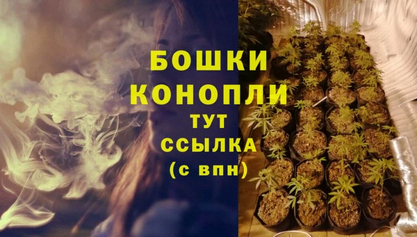 apvp Вязьма