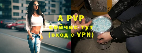 экстази Горняк