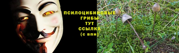 apvp Вязьма