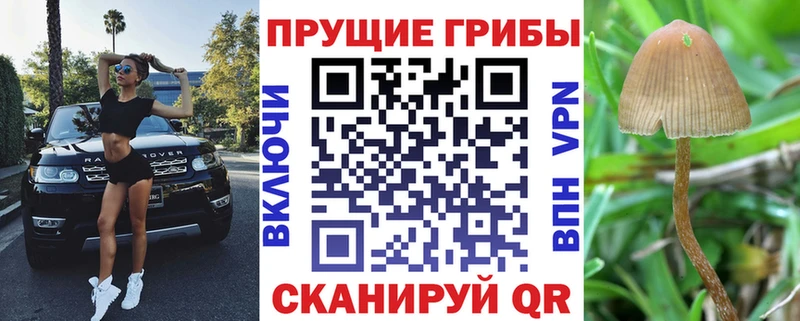 сайты даркнета Telegram  купить наркотики сайты  Слободской  Псилоцибиновые грибы прущие грибы 